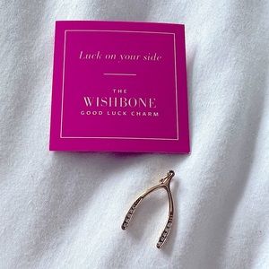 Stella & Dot good wishbone charm - new in box.